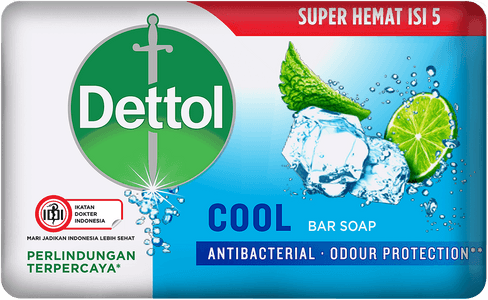 Sabun Anti Bakteri Dettol Cool